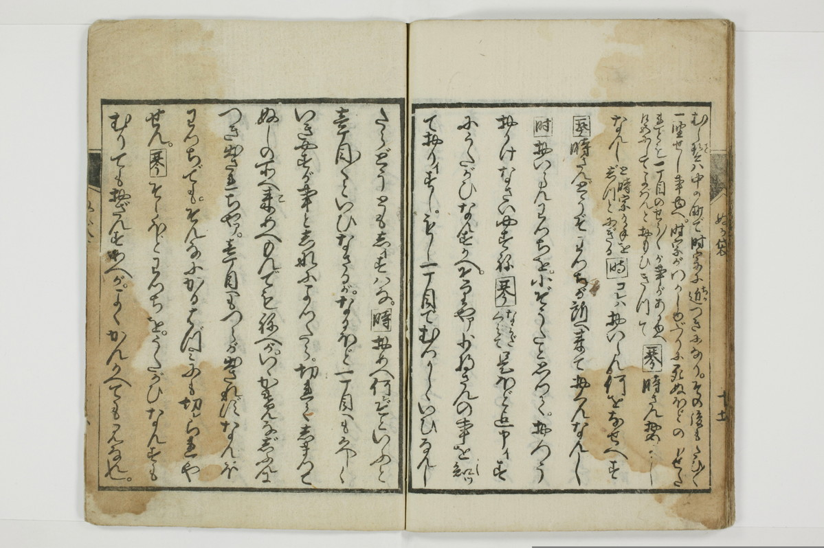 曽我糠袋/A096_022