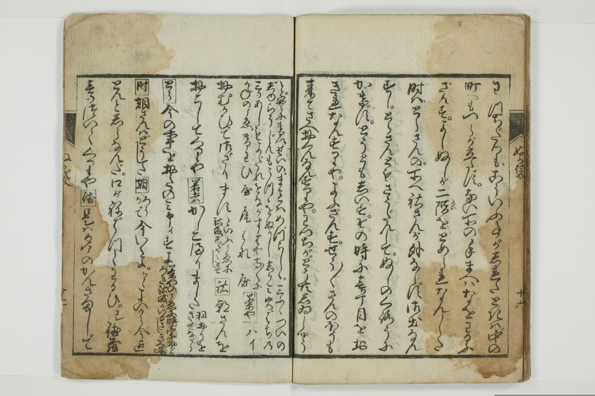 曽我糠袋/A096_023