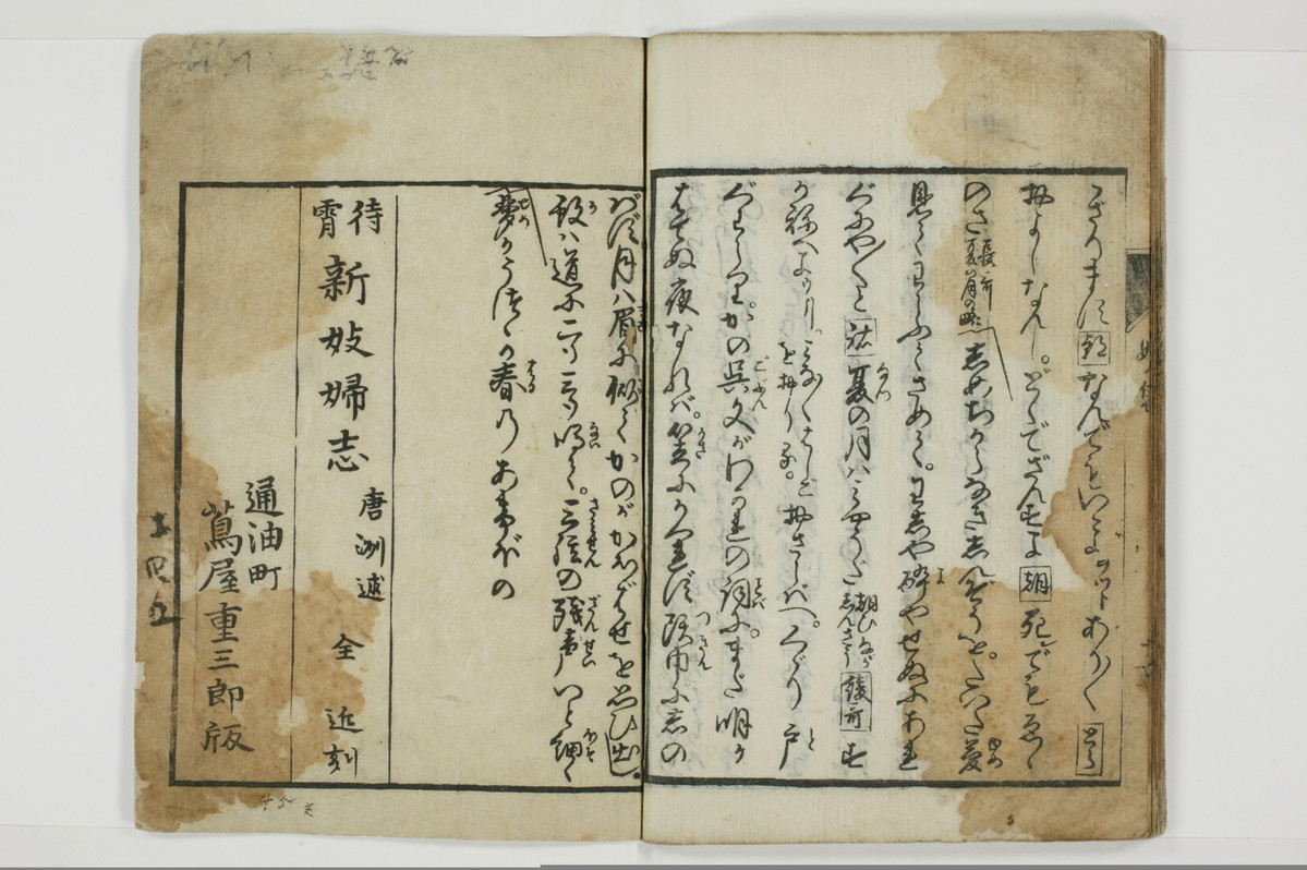 曽我糠袋/A096_024