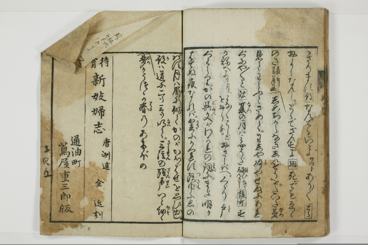 曽我糠袋/A096_025