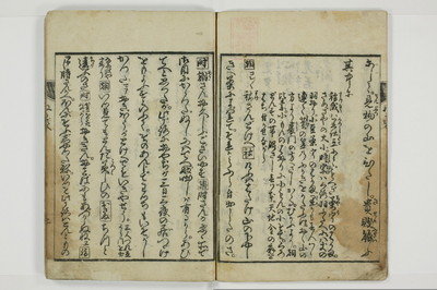 曽我糠袋/A096_008