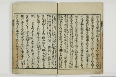 曽我糠袋/A096_010