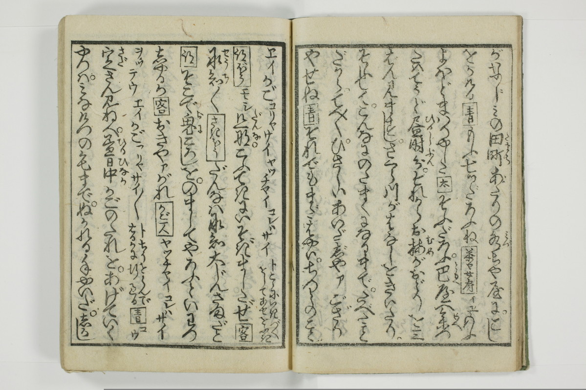 野良の玉子/A098_010