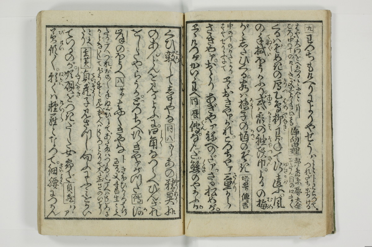 野良の玉子/A098_016