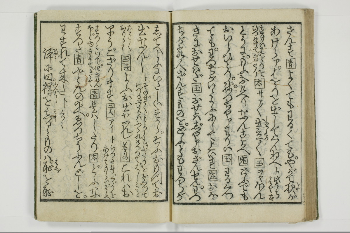 野良の玉子/A098_041