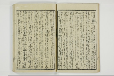 誹諧通言/A100_009