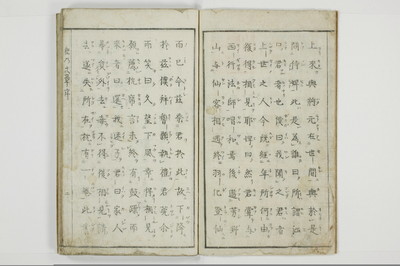猪の文章/A109_003