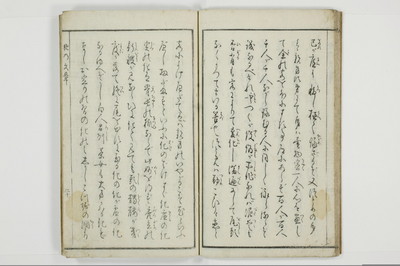 猪の文章/A109_020