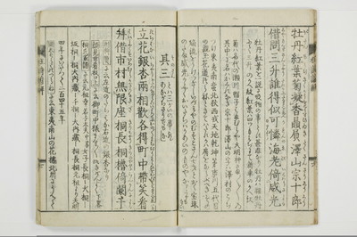 狂詩諺解/A115_010