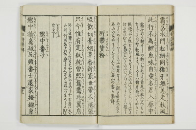 狂詩諺解/A115_015