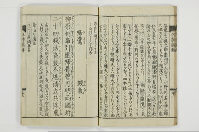 狂詩諺解/A115_025