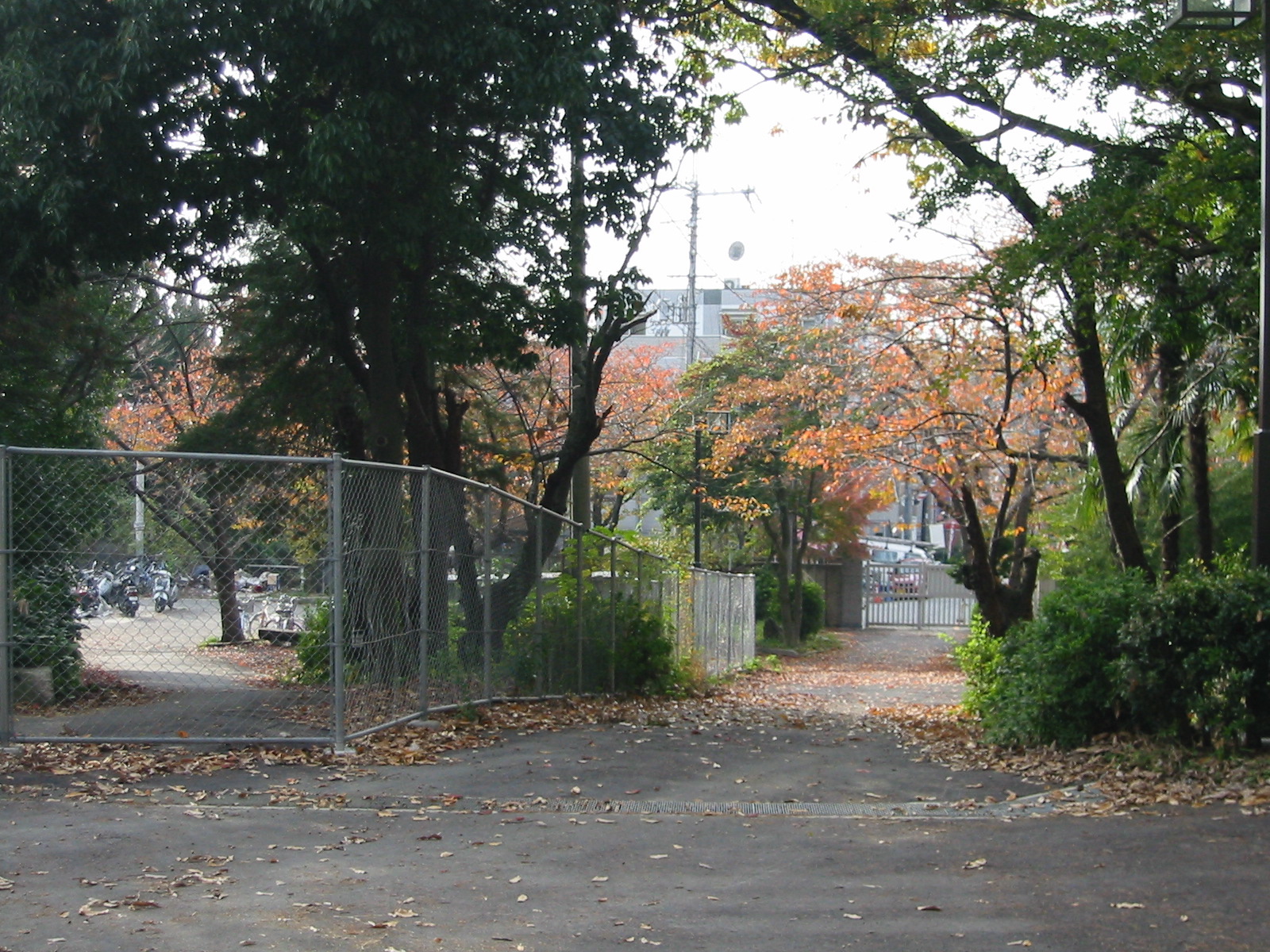 i 093