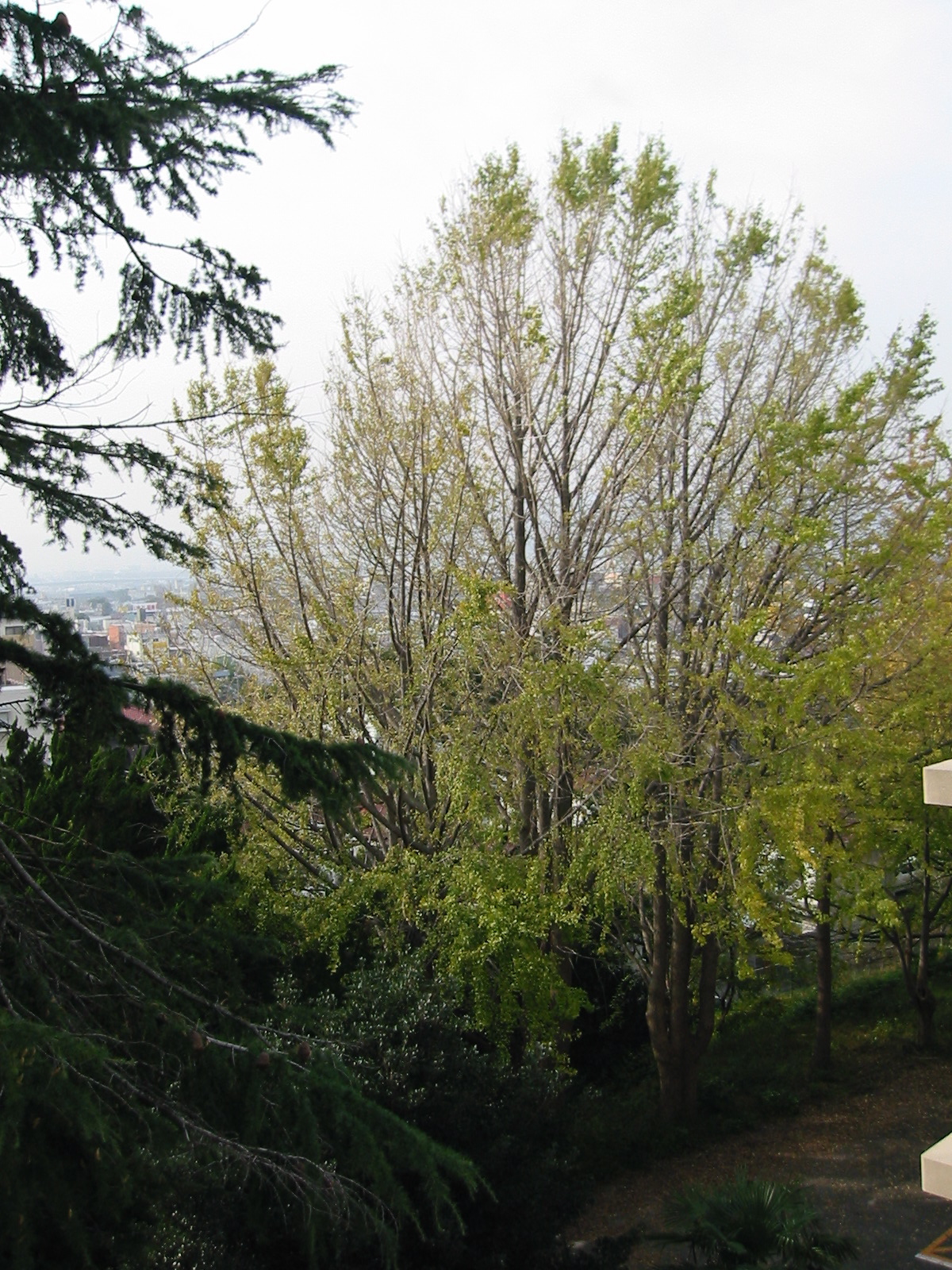 i 102