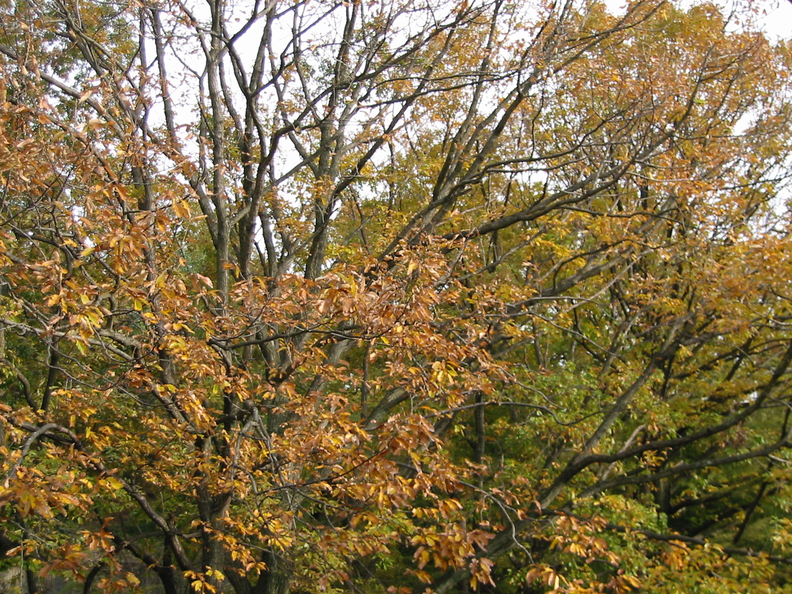 i 110