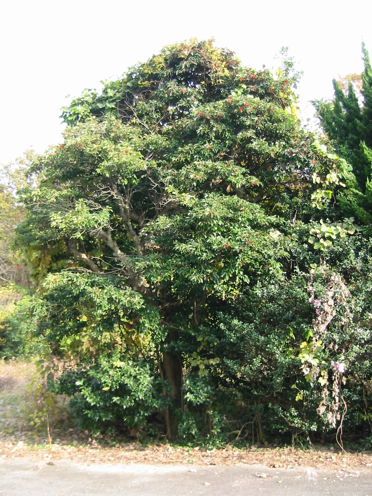 i 132