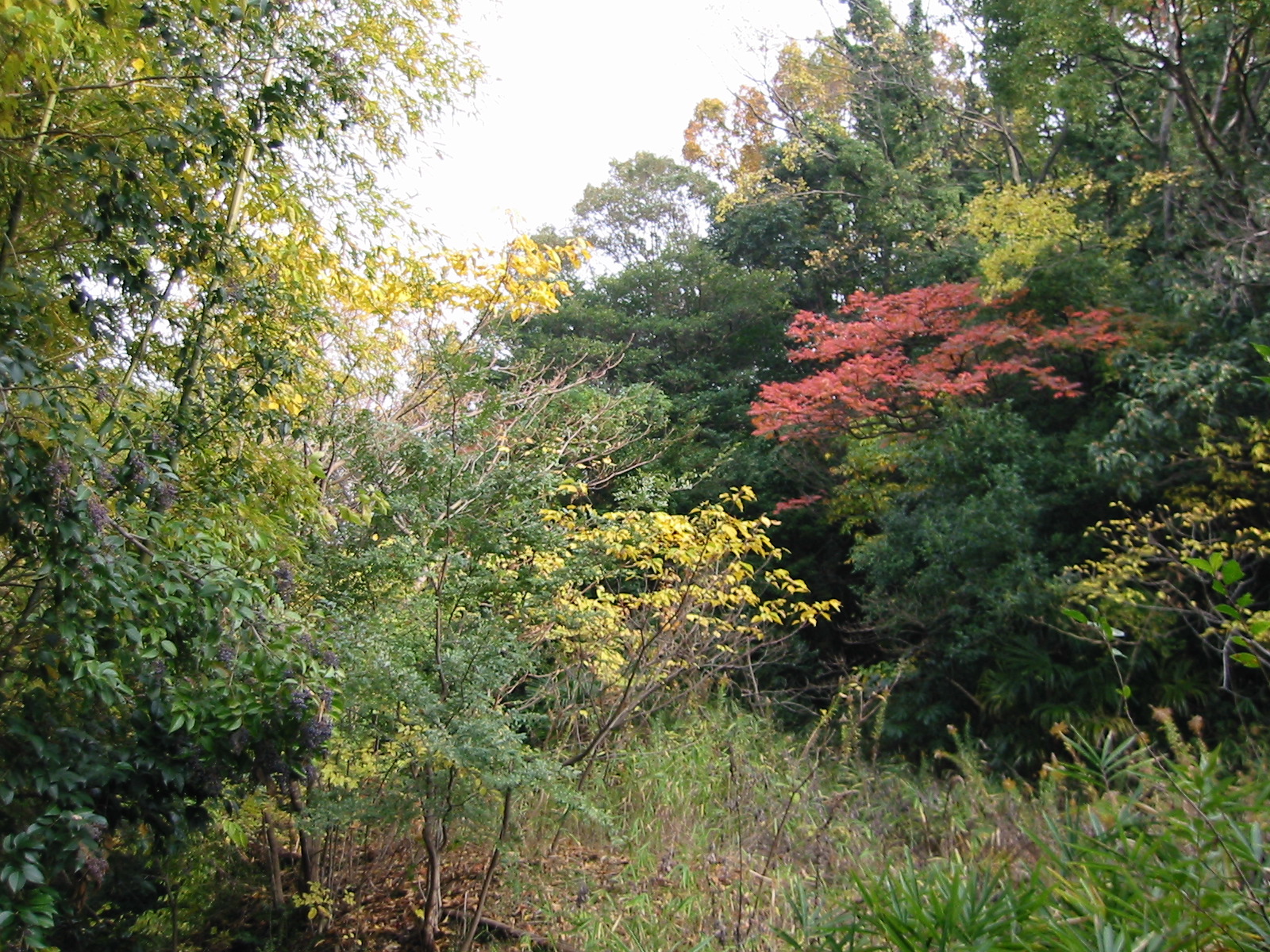 i 139