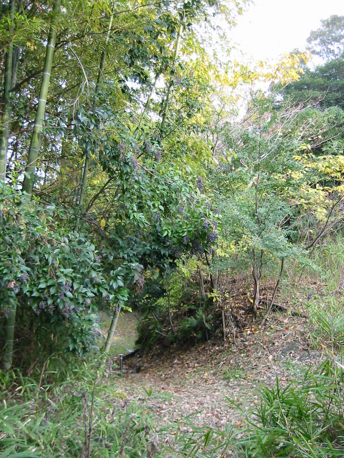 i 140