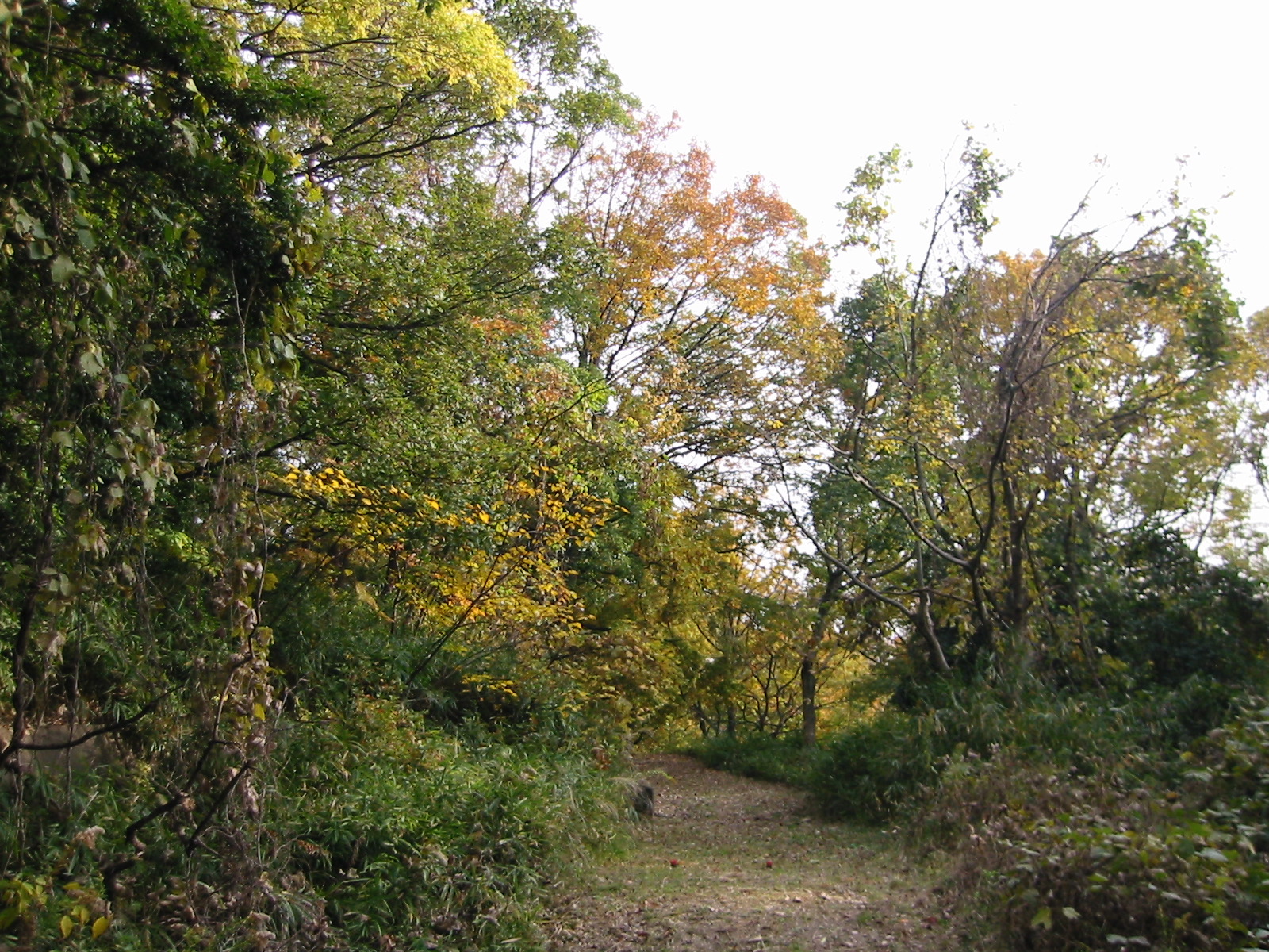 i 142
