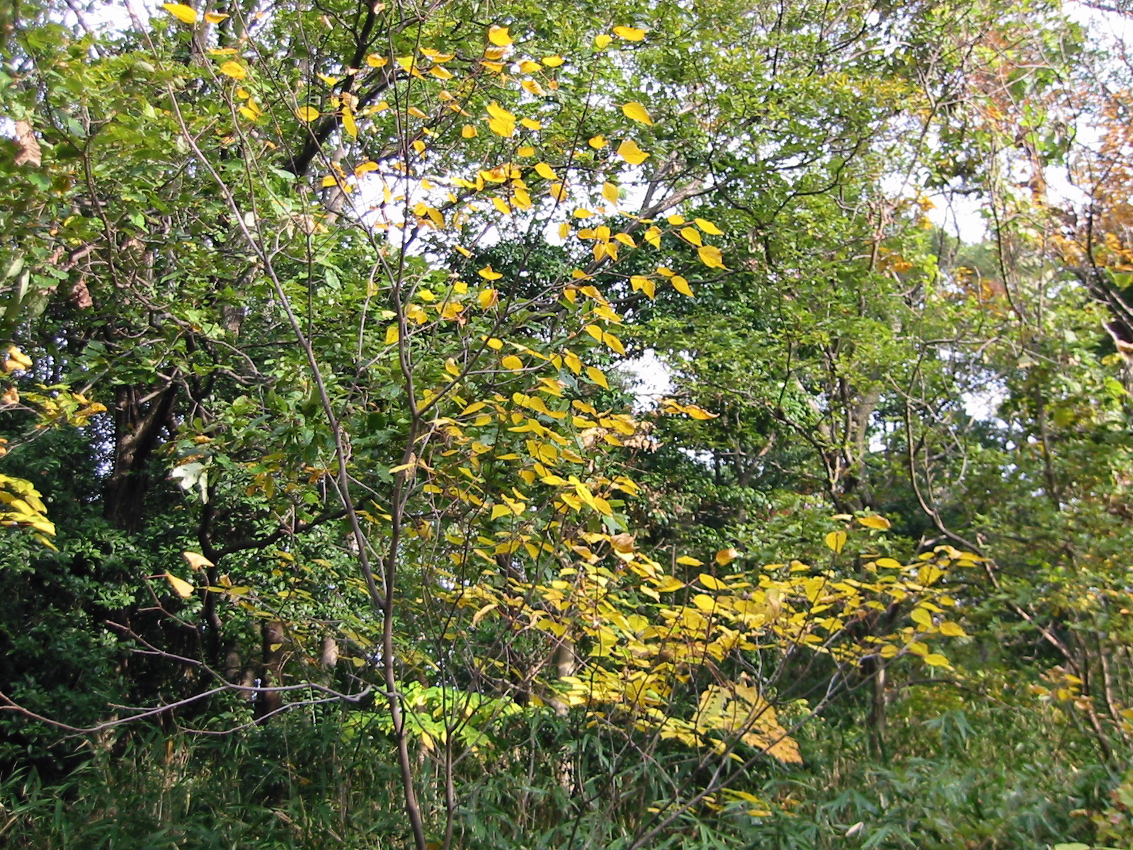 i 143