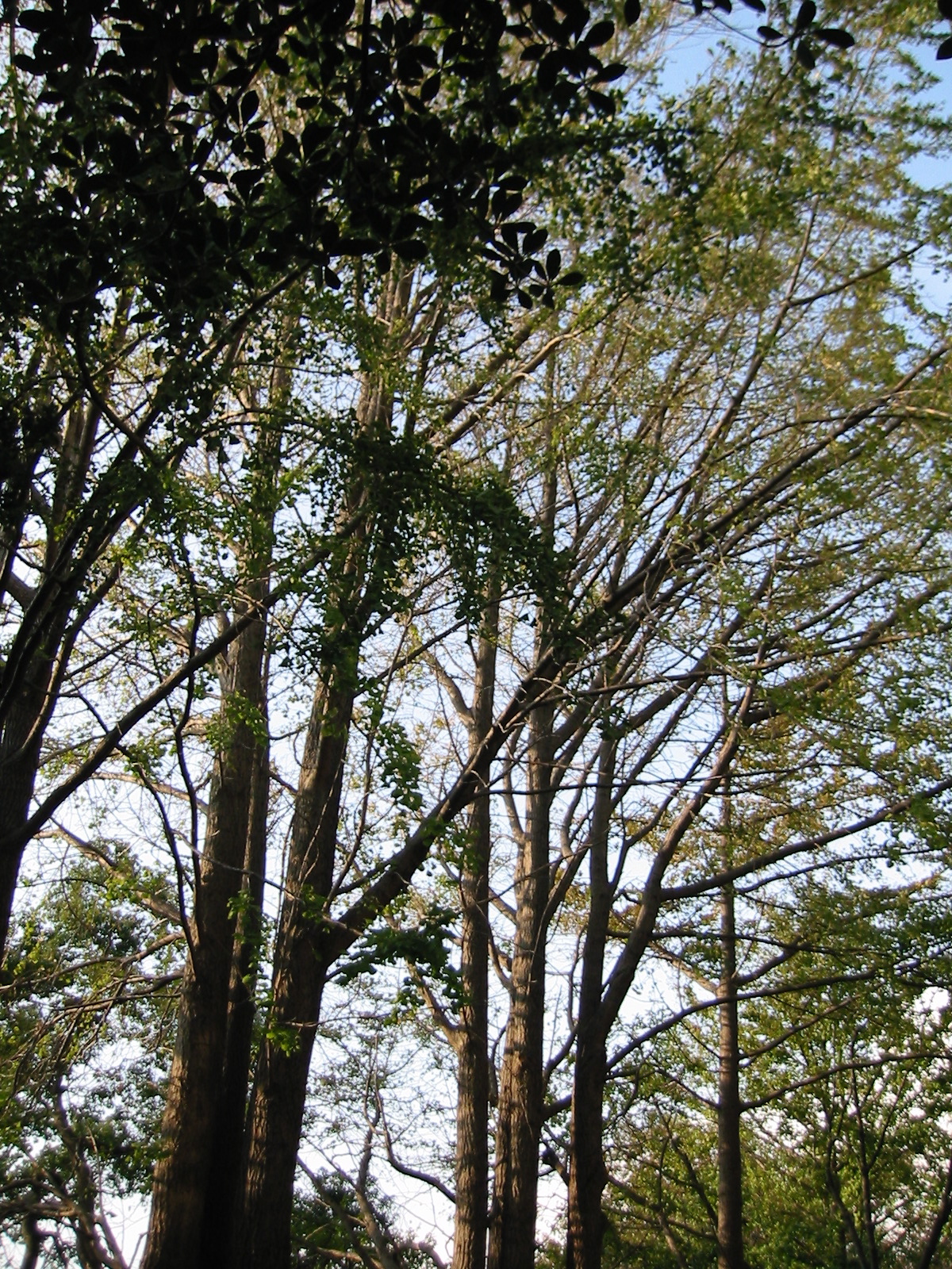 i 005