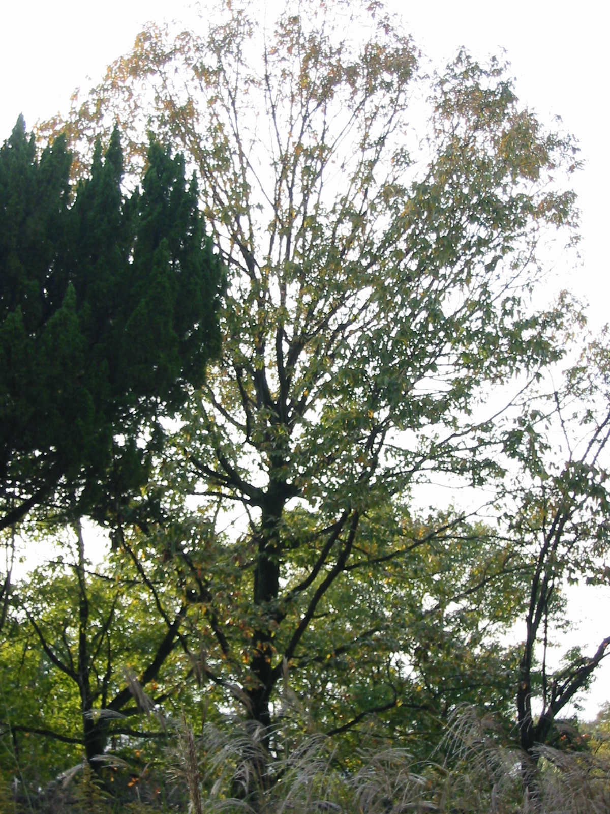 i 014