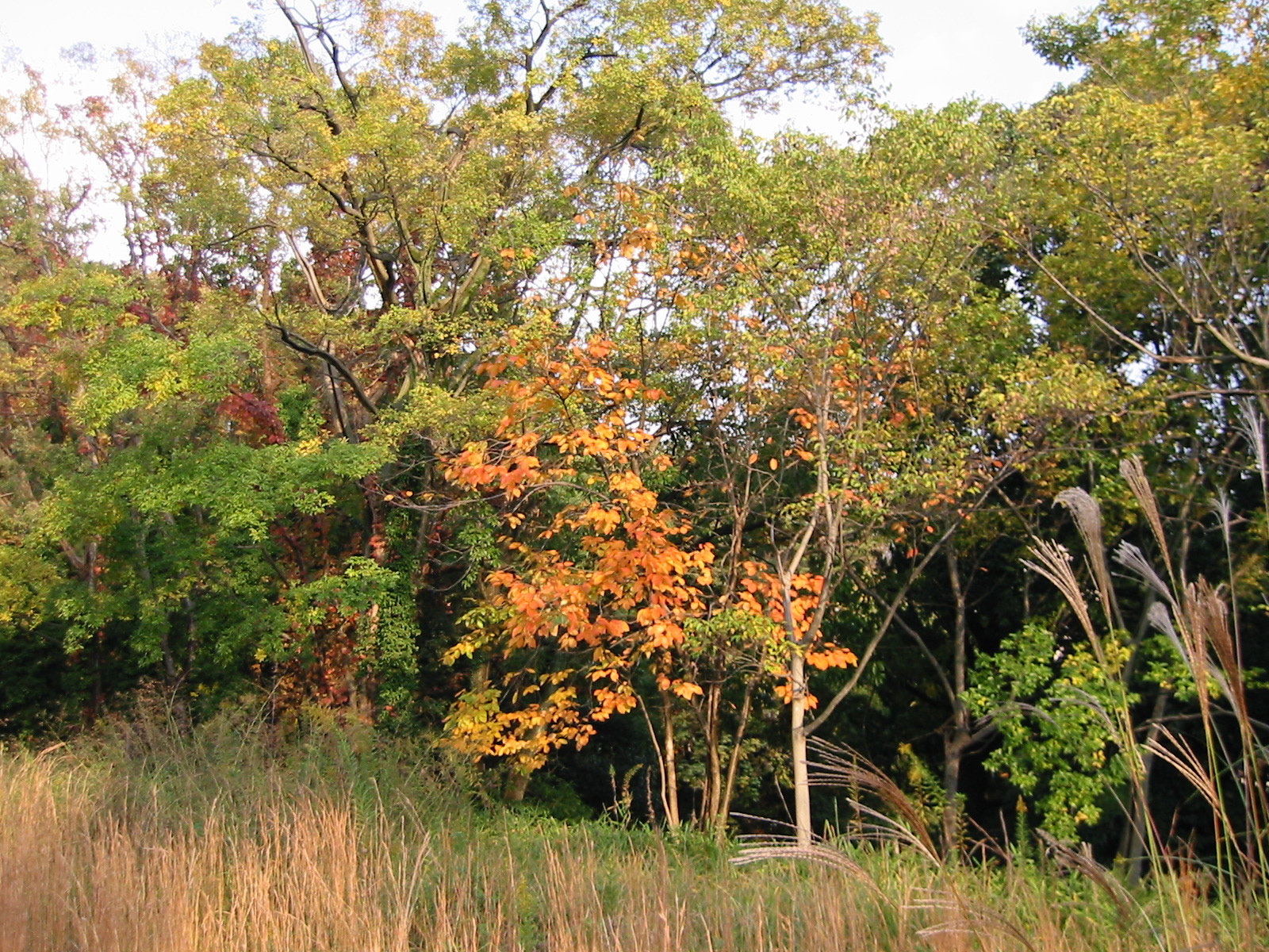i 017