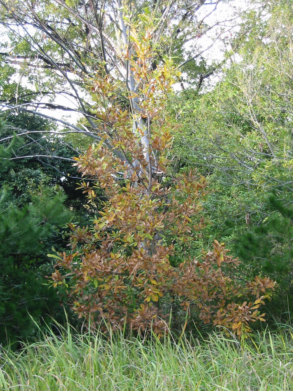 i 020