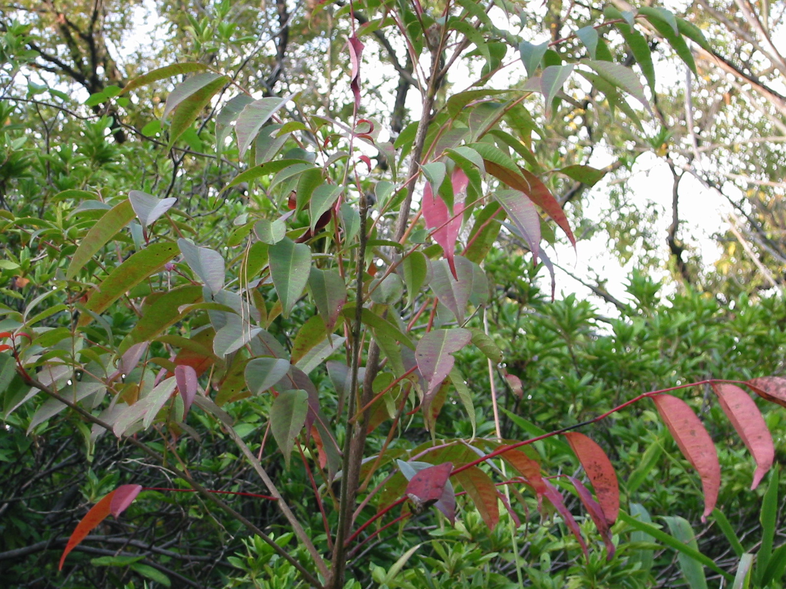 i 048