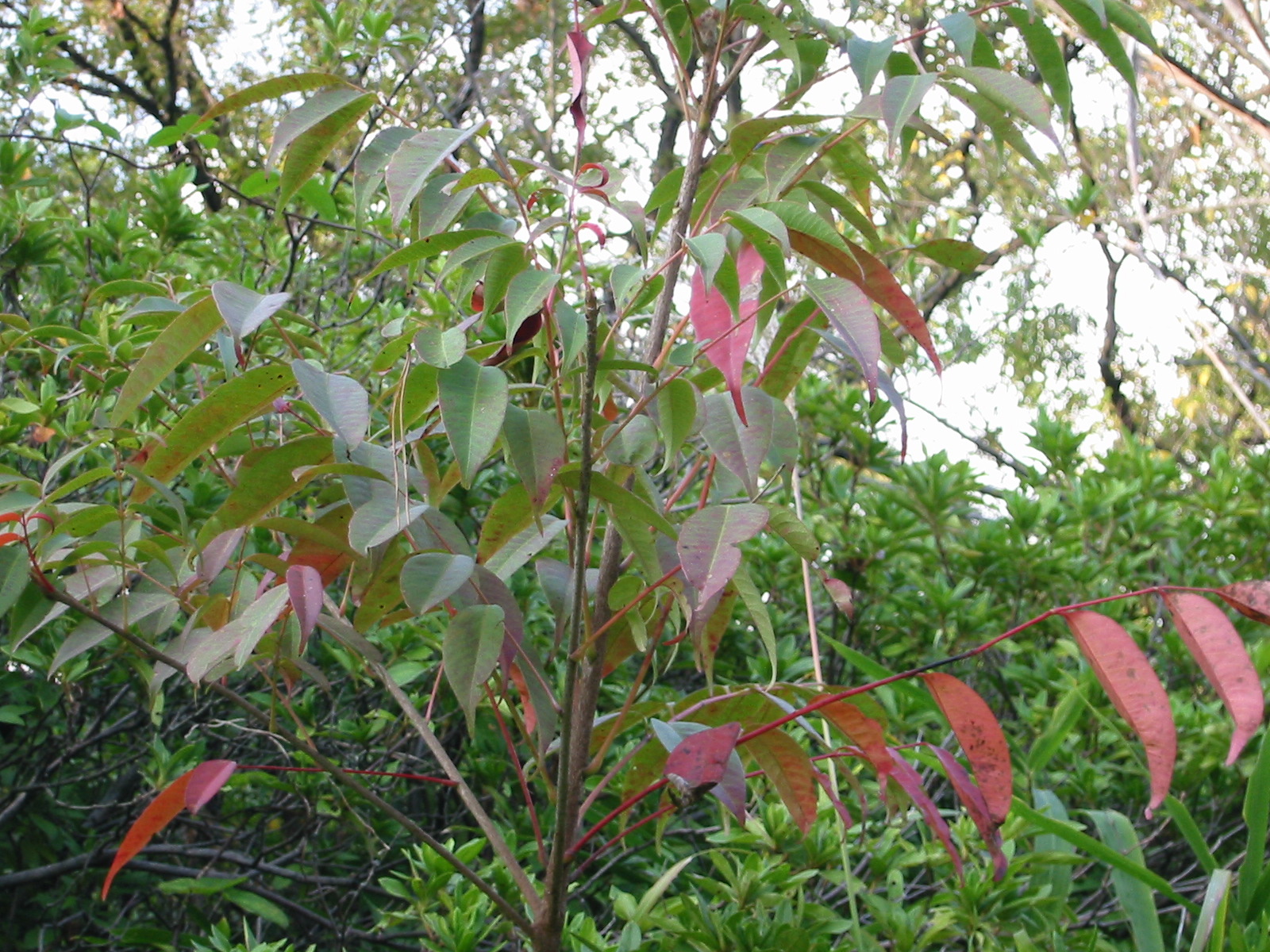 i 049