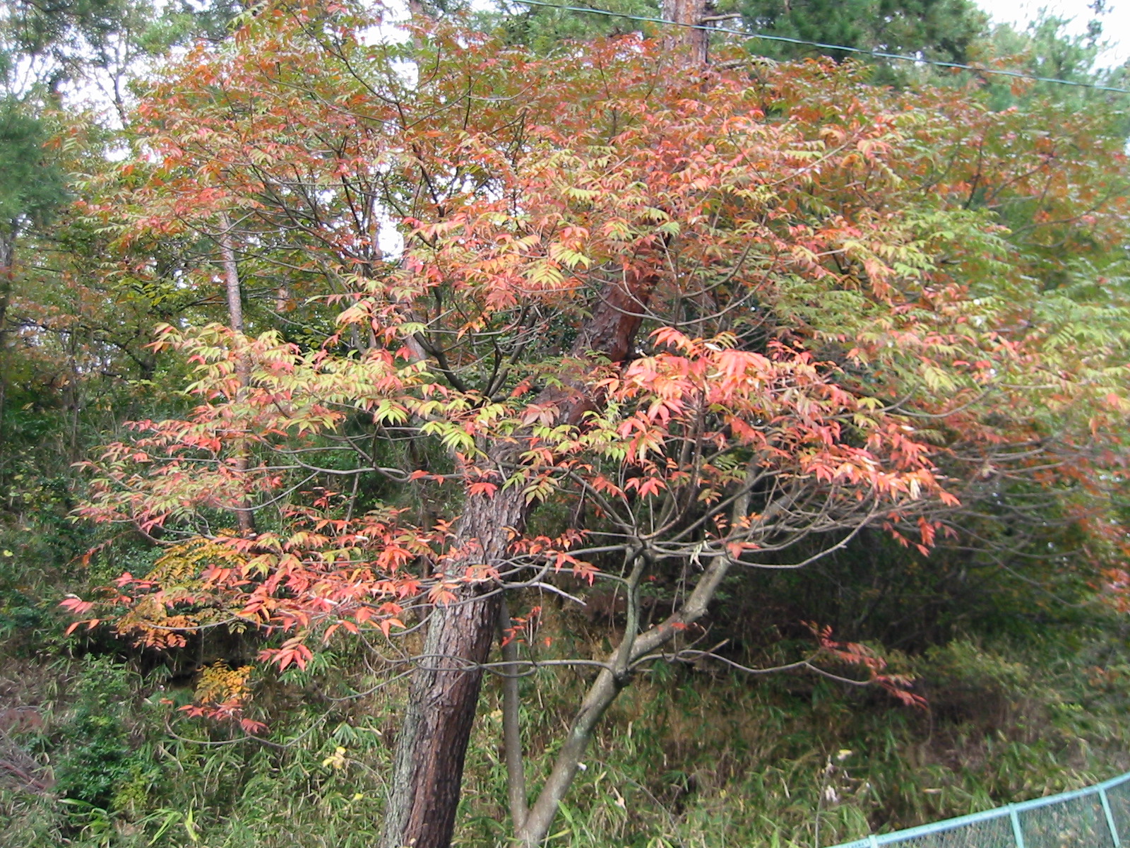 i 072