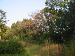 i 037