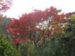 i 090