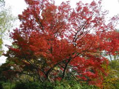 i 091