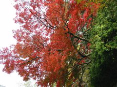 i 092