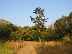 i 038