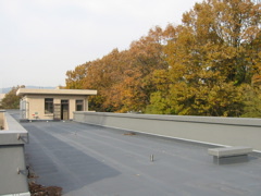 i 097