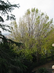 i 102
