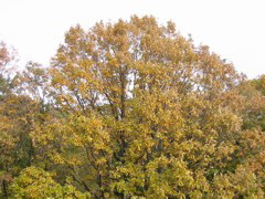 i 103