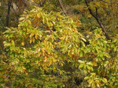 i 105