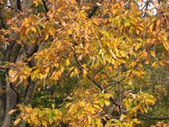 i 106