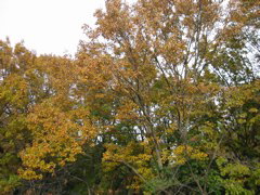 i 108