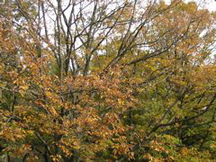 i 110