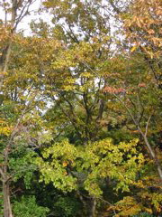 i 111