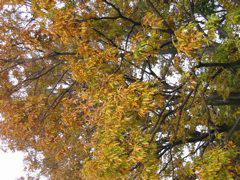 i 114