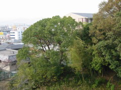 i 117