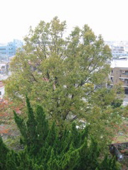 i 118