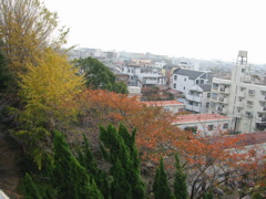i 119