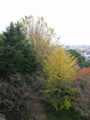 i 120