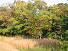 i 041