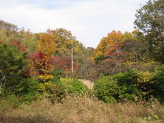 i 130